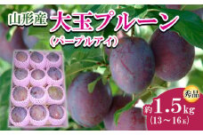 山形市産 大玉プルーン(パープルアイ) 秀 約1.5kg(13～16玉) 【令和7年産先行予約】FU22-758 くだもの 果物 フルーツ 山形 山形県 山形市 2025年産