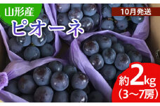 山形市産 ぶどう(ピオーネ) 秀 2kg(3〜7房)[後半] 【令和7年産先行予約】FU22-038 くだもの 果物 フルーツ 山形 山形県 山形市 ぶどう 葡萄 ブドウ 2025年産