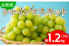ぷりぷりのシャインマスカット 2房 約1.2kg(1房500g～700g) 【令和7年産先行予約】FU22-743 くだもの 果物 フルーツ 山形 山形県 山形市 2025年産