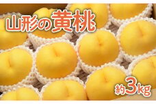 山形の黄桃 約3kg(6～13玉)[柔らかくなる品種・果肉やや硬め] 【令和7年産先行予約】FU22-055 くだもの 果物 フルーツ 山形 山形県 山形市 2025年産