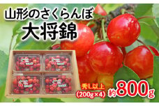 山形のさくらんぼ 大将錦 約800g Lサイズ以上(200g×4) 【令和7年産先行予約】FS24-558くだもの 果物 フルーツ 山形 山形県 山形市 2025年産