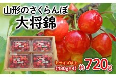 山形のさくらんぼ 大将錦 Lサイズ以上 720g(180g×4) 【令和8年産先行予約】FS25-525 くだもの 果物 フルーツ 山形 山形県 山形市 2026年産
