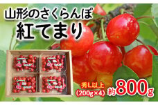 山形のさくらんぼ 紅てまり 約800g Lサイズ以上(200g×4) 【令和7年産先行予約】FS24-557くだもの 果物 フルーツ 山形 山形県 山形市 2025年産