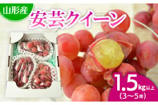 山形市本沢ぶどう安芸クイーン 1.5kg以上(3～5房) 【令和7年産先行予約】FU22-789 フルーツ くだもの 果物 山形 山形県 山形市 ぶどう 葡萄 ブドウ