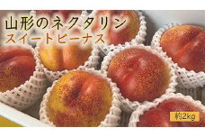 山形のネクタリン(スイートビーナス)約2kg(5～10玉) 【令和7年産先行予約】FS24-568くだもの 果物 フルーツ 山形 山形県 山形市 2025年産