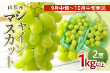 山形のぶどう シャインマスカット 1kg以上(2房)[9月中旬～10月中旬お届け] 【令和7年産先行予約】FS24-575くだもの 果物 フルーツ 山形 山形県 山形市 2025年産