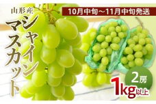 山形のぶどう シャインマスカット 1kg以上(2房)[10月中旬～11月中旬お届け] 【令和7年産先行予約】FS24-574くだもの 果物 フルーツ 山形 山形県 山形市 2025年産