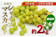 【ご家庭用】山形のシャインマスカット 優品 約2kg(2～6房)[9月中旬～10月中旬発送] 【令和7年産先行予約】FS24-578くだもの 果物 フルーツ 山形 山形県 山形市 2025年産