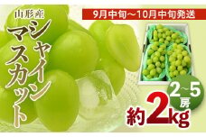 山形のシャインマスカット 秀品 約2kg(2～5房)[9中旬～10月中旬発送] 【令和7年産先行予約】FS24-642くだもの 果物 フルーツ 山形 山形県 山形市 2025年産