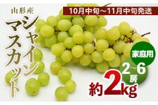 【ご家庭用】山形のシャインマスカット 優品 約2kg(2～6房)[10月中旬～11月中旬発送] 【令和7年産先行予約】FS24-577くだもの 果物 フルーツ 山形 山形県 山形市 2025年産