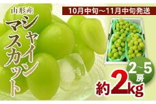 山形のシャインマスカット 秀品 約2kg(2～5房)[10月中旬～11中旬発送]【令和7年産先行予約】FS24-643くだもの 果物 フルーツ 山形 山形県 山形市 2025年産