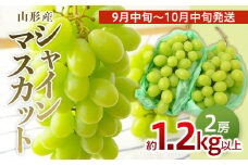 山形のぶどう シャインマスカット 1.2kg以上(2房)[9月中旬～10月中旬お届け] 【令和7年産先行予約】FU22-796 くだもの 果物 フルーツ 山形 山形県 山形市 ぶどう 葡萄 ブドウ 2025年産