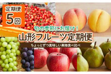 【定期便5回】ちょっとずつ美味しい果物食べ比べ定期便 【令和7年産先行予約】FU22-968 くだもの 果物 フルーツ 山形 山形県 山形市 2025年産