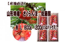山形特産 さくらんぼ 佐藤錦 L 800g(200g×4パック入) 【令和7年産先行予約】FU22-972 くだもの 果物 フルーツ 山形 山形県 山形市 2025年産