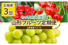 【定期便3回】山形果実ベスト3 【令和7年産先行予約】FU22-071 くだもの 果物 フルーツ 山形 山形県 山形市 2025年産