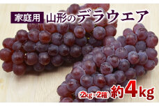 【ご家庭用】山形のデラウエア M～3L 約4kg(18～40房)[粒サイズおまかせ] 【令和7年産先行予約】FS24-570くだもの 果物 フルーツ 山形 山形県 山形市 2025年産