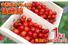 さくらんぼ 佐藤錦 Lサイズ 1kg(500g×2パック） 【令和7年産先行予約】FS24-613くだもの 果物 フルーツ 山形 山形県 山形市 2025年産