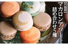 【月珈琲】マカロンアソート 詰め合わせ 5種 FZ22-595 山形県 山形市