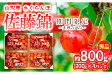 さくらんぼ【佐藤錦】約800g (200g×4パック) 期間限定～山形の恵み～ 【令和7年産先行予約】FS24-527くだもの 果物 フルーツ 山形 山形県 山形市 2025年産
