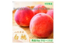 山形市産 白桃 秀品 約3kg [やや硬め] 【令和7年産先行予約】FU23-035 くだもの 果物 フルーツ 山形 山形県 山形市 2025年産