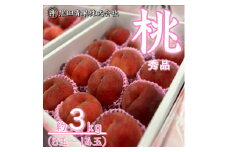 山形産 白桃 秀 3kg(8玉～14玉) 【令和7年産先行予約】FU23-315 くだもの 果物 フルーツ 山形 山形県 山形市 2025年産