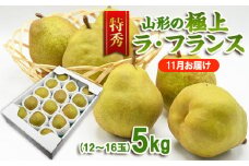 【特秀】山形の極上 ラフランス 特秀品 約5kg(12～16玉)[11月お届け] FZ23-314