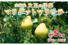 大玉の洋梨 マリゲットマリーラ 秀品 約5kg(7玉～12玉) 【令和7年産先行予約】FU23-005 くだもの 果物 フルーツ 山形 山形県 山形市 2025年産