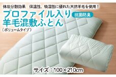 【日本の極み】プロファイル入り羊毛混敷ふとん(ボリュームタイプ)  FZ23-294