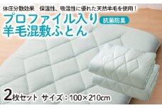 【日本の極み】プロファイル入り 羊毛混敷ふとん 2枚セット  FZ23-347