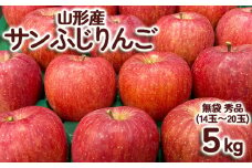 サンふじりんご 無袋 秀品5kg(14玉～20玉) FY25-902
