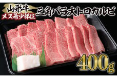 山形牛 メス牛 希少部位 三角バラ 大トロカルビ 400g FY23-453 ブランド牛肉 山形県 山形市