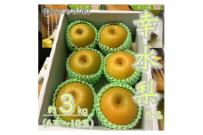 山形県産 幸水 梨 秀品 約3kg(6～10玉) 【令和7年産先行予約】FU23-442 くだもの 果物 フルーツ 山形 山形県 山形市 2025年産