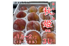 山形県産 秋姫(あきひめ) 秀品 3L以上 約1.5～2kg(12～18玉) 【令和7年産先行予約】FU23-443 くだもの 果物 フルーツ 山形 山形県 山形市 2025年産
