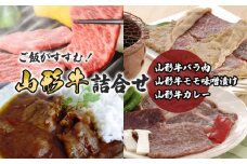 ご飯がすすむ！山形牛詰合せ(山形牛バラ肉350ｇ・山形牛モモ味噌漬け250g・山形牛カレー2箱) 黒毛和牛・肉・ブランド牛 FY23-455
