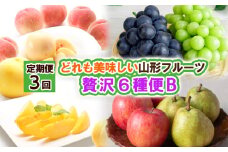 【定期便3回】どれも美味しい山形フルーツ贅沢６種便Ｂ 【令和7年産先行予約】FS24-517くだもの 果物 フルーツ 山形 山形県 山形市 2025年産