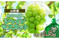 山形産 ぶどうの女王 シャインマスカット 秀品 約1.5kg FZ23-479