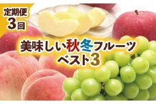 【定期便3回】美味しい秋冬フルーツベスト３ 【令和7年産先行予約】FU23-960 フルーツ定期便 くだもの 果物 もも 桃 白桃 ぶどう 葡萄 シャインマスカット りんご 林檎 サンふじ 山形 山形県 山形市 2025年産