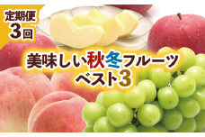 【定期便3回】美味しい秋冬フルーツベスト３ 【令和7年産先行予約】FU23-960 フルーツ定期便 くだもの 果物 もも 桃 白桃 ぶどう 葡萄 シャインマスカット りんご 林檎 サンふじ 山形 山形県 山形市 2025年産