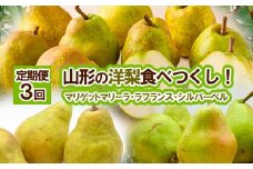 ★定期便3回★山形の洋梨食べつくし！(マリゲットマリーラ・ラフランス・シルバーベル) FY25-835