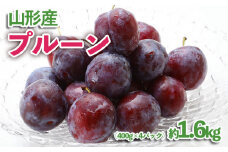 山形産 プルーン 約1.6kg(400g×4パック) 【令和7年産先行予約】FU23-535 くだもの 果物 フルーツ 山形 山形県 山形市 2025年産