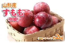 山形産 すもも(秋姫) 約2kg(500g×4パック) 【令和7年産先行予約】FU23-536 くだもの 果物 フルーツ 山形 山形県 山形市 2025年産