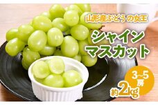 山形産 ぶどうの女王 シャインマスカット 約2kg FZ23-539