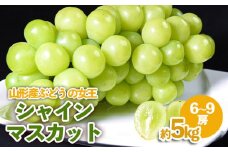 山形産 ぶどうの女王 シャインマスカット 約5kg FY23-540