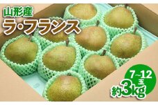 山形産 ラ・フランス 約3kg FZ23-541