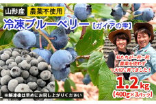 山形産 農薬不使用 冷凍ブルーベリー【ガイアの雫】1.2kg(400g×3)★真空包装★ FZ23-582