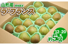 山形産 ラ・フランス 約5kg FZ23-587