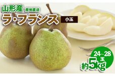 山形産 小玉ラ・フランス 約5kg FZ23-588