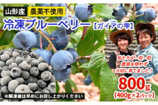 山形産 農薬不使用 冷凍ブルーベリー【ガイアの雫】800g(400g×2)★真空包装★  FZ23-581