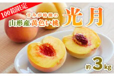 【100箱限定】甘みが特徴の山形産黄色い桃 光月 秀品 約3kg 【令和7年産先行予約】FU23-637 くだもの 果物 フルーツ 山形 山形県 山形市 2025年産