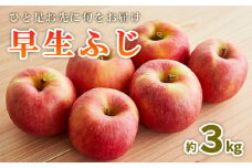 ひと足お先に旬をお届け 早生ふじ 秀品 約3kg 【令和7年産先行予約】FS23-658